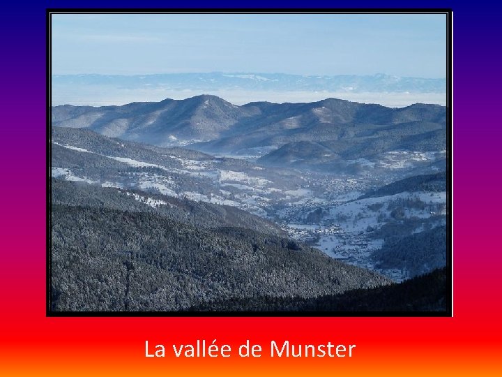 La vallée de Munster 