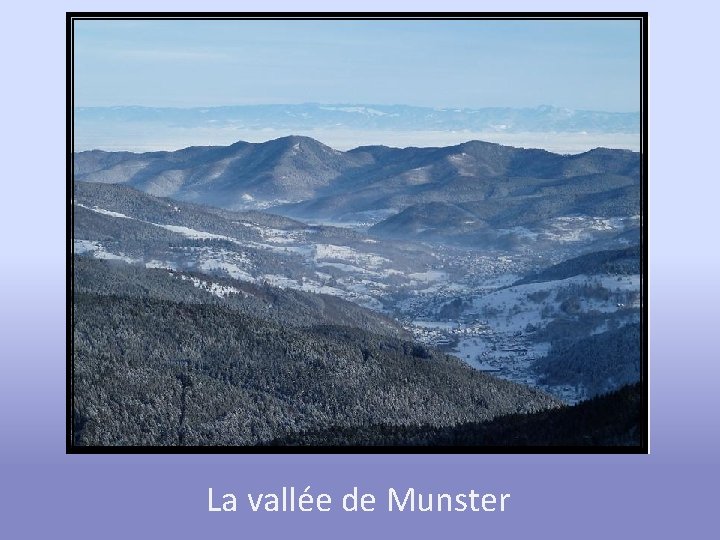 La vallée de Munster 