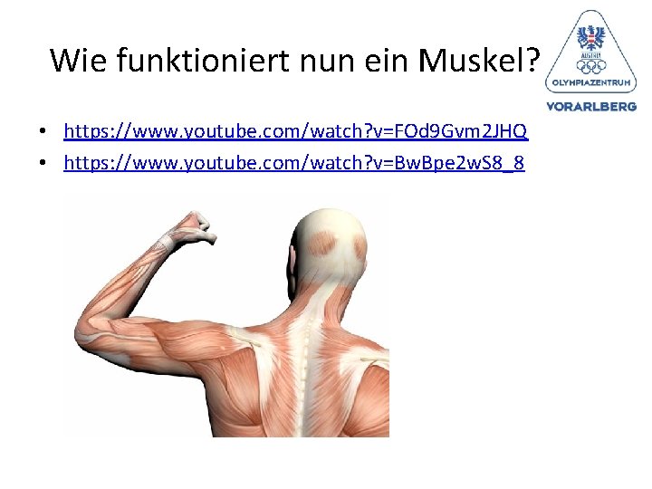 Wie funktioniert nun ein Muskel? • https: //www. youtube. com/watch? v=FOd 9 Gvm 2
