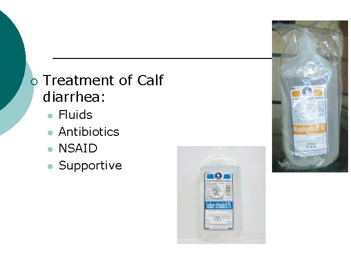 ¡ Treatment of Calf diarrhea: l l Fluids Antibiotics NSAID Supportive 