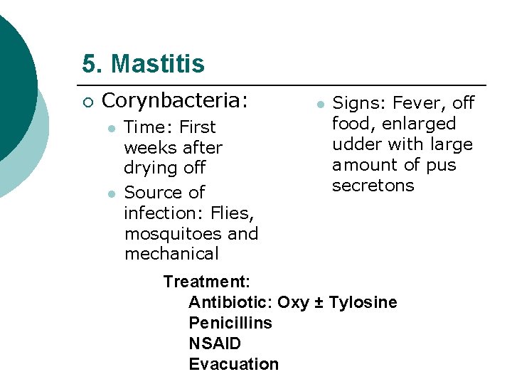 5. Mastitis ¡ Corynbacteria: l l Time: First weeks after drying off Source of