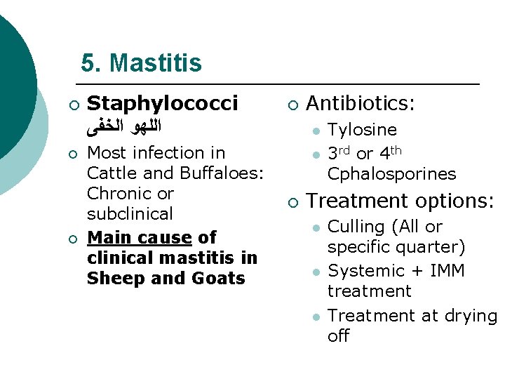 5. Mastitis ¡ ¡ ¡ Staphylococci ﺍﻟﻠﻬﻮ ﺍﻟﺨﻔﻰ Most infection in Cattle and Buffaloes: