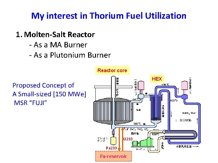 My interest in Thorium Fuel Utilization 1. Molten-Salt Reactor - As a MA Burner