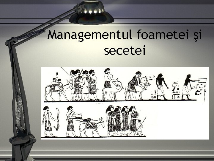 Managementul foametei şi secetei 