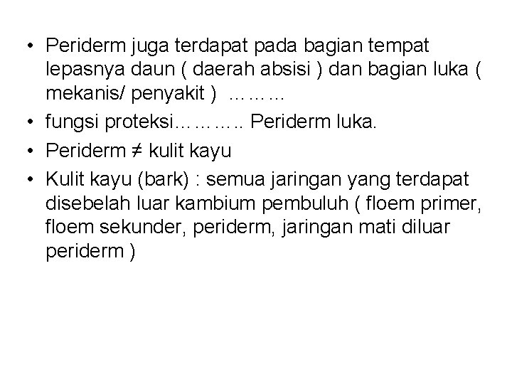  • Periderm juga terdapat pada bagian tempat lepasnya daun ( daerah absisi )