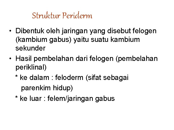 Struktur Periderm • Dibentuk oleh jaringan yang disebut felogen (kambium gabus) yaitu suatu kambium