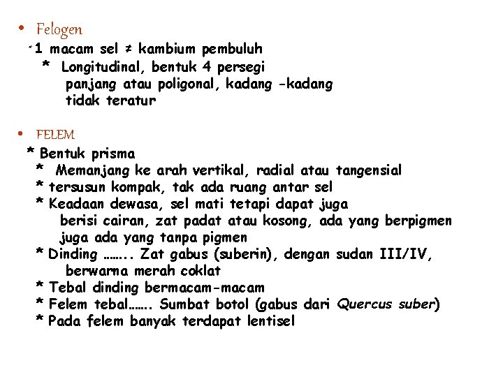  • Felogen * 1 macam sel ≠ kambium pembuluh * Longitudinal, bentuk 4