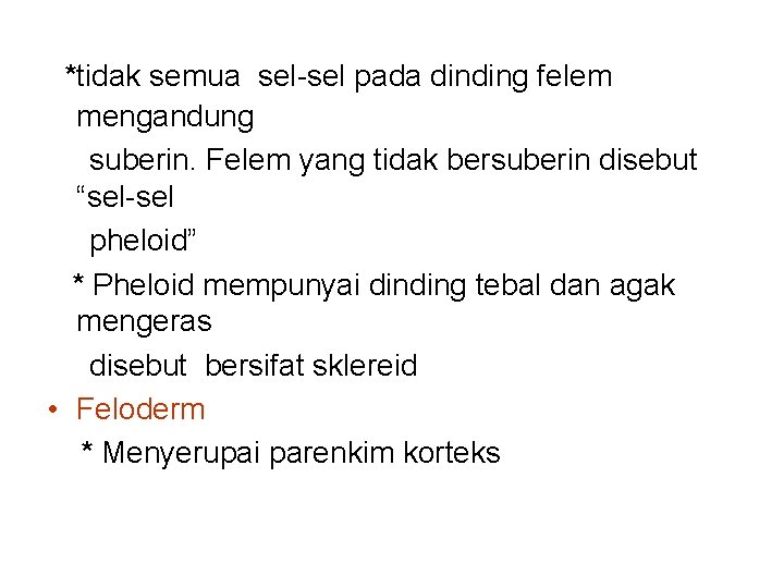 *tidak semua sel-sel pada dinding felem mengandung suberin. Felem yang tidak bersuberin disebut “sel-sel
