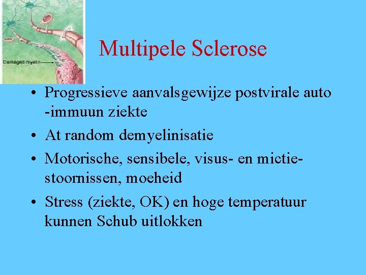 Multipele Sclerose • Progressieve aanvalsgewijze postvirale auto -immuun ziekte • At random demyelinisatie •