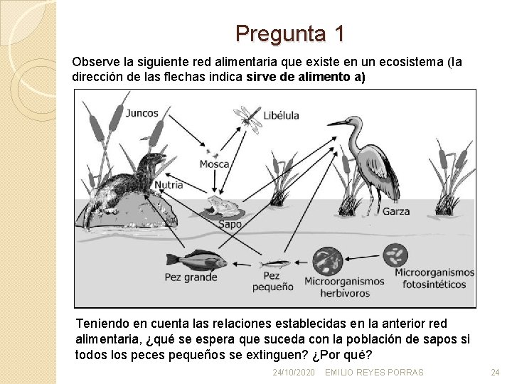 Pregunta 1 Observe la siguiente red alimentaria que existe en un ecosistema (la dirección