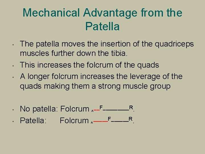 Mechanical Advantage from the Patella • • • The patella moves the insertion of