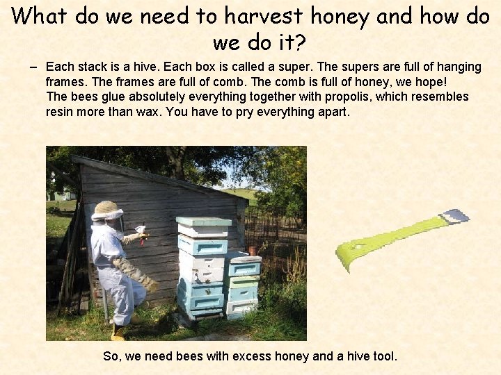 What do we need to harvest honey and how do we do it? –