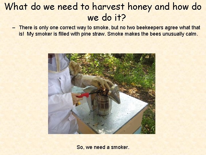 What do we need to harvest honey and how do we do it? –