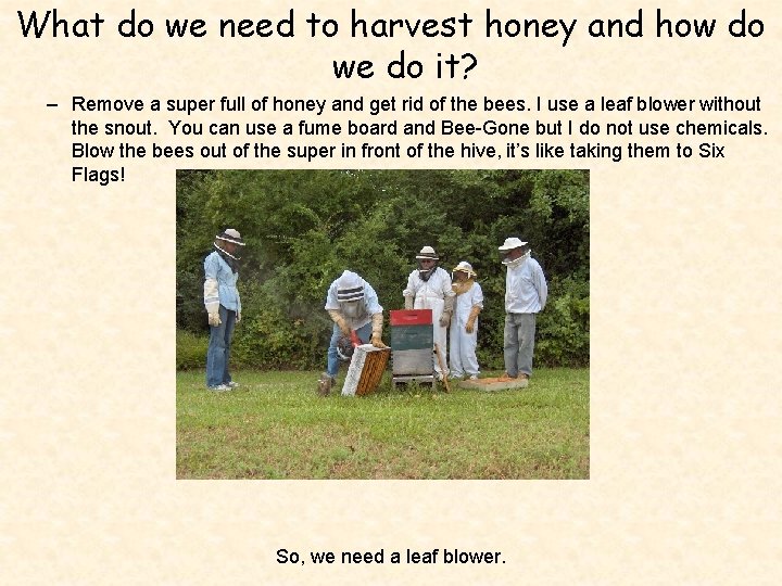 What do we need to harvest honey and how do we do it? –