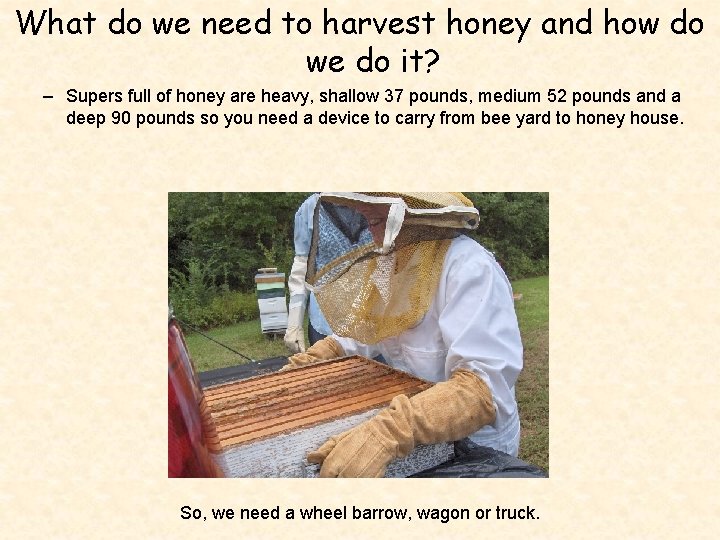 What do we need to harvest honey and how do we do it? –