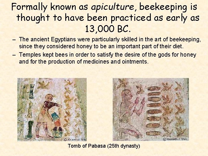 Formally known as apiculture, beekeeping is thought to have been practiced as early as