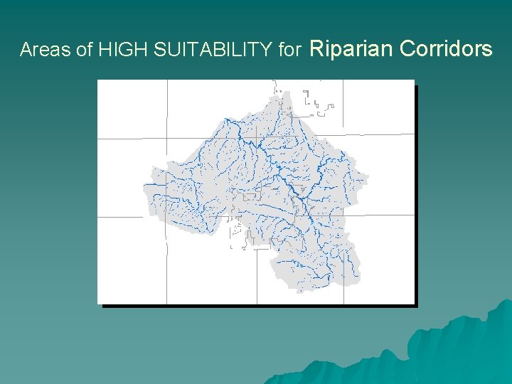 Areas of HIGH SUITABILITY for Riparian Corridors 