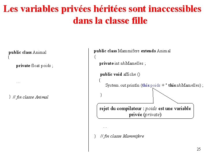 Les variables privées héritées sont inaccessibles dans la classe fille public class Animal {