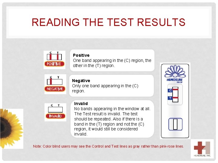 READING THE TEST RESULTS Positive One band appearing in the (C) region, the other