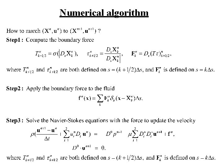 Numerical algorithm 