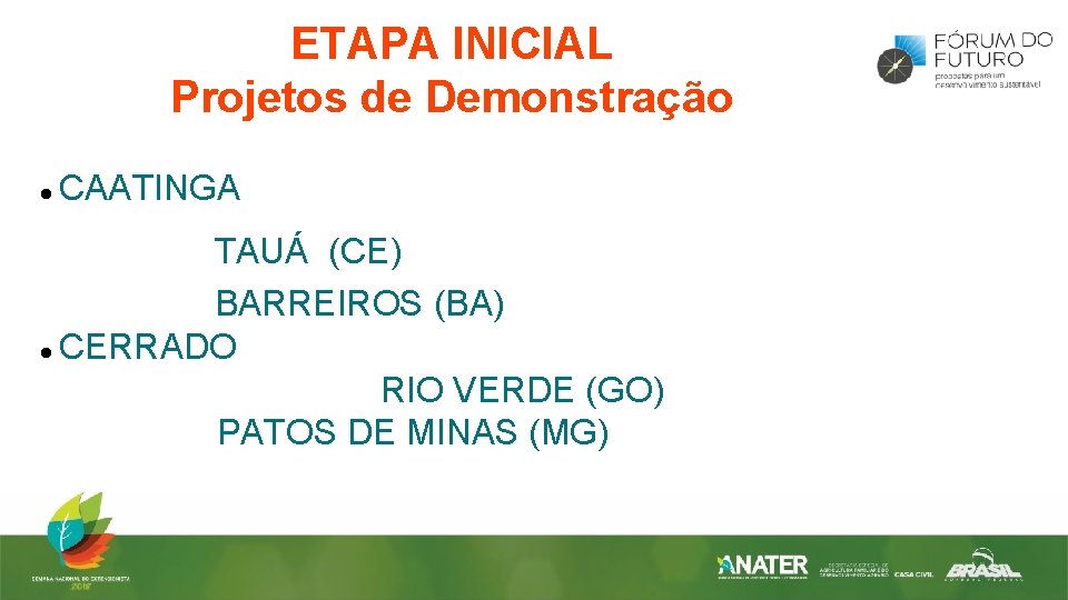 ETAPA INICIAL Projetos de Demonstração CAATINGA TAUÁ (CE) BARREIROS (BA) CERRADO RIO VERDE (GO)
