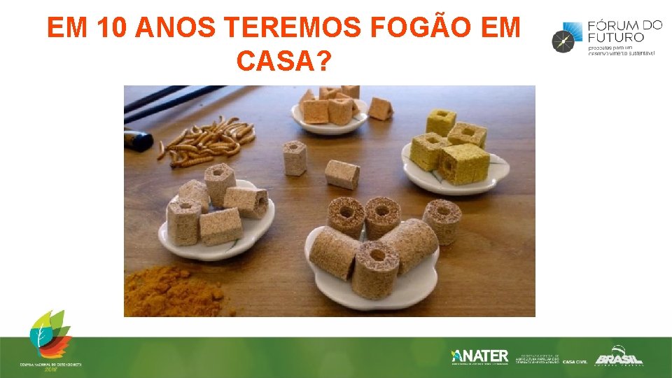 EM 10 ANOS TEREMOS FOGÃO EM CASA? 