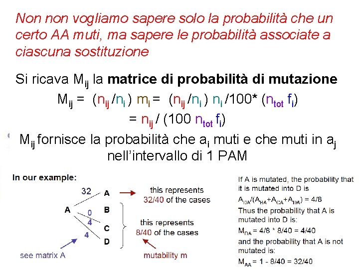 Non non vogliamo sapere solo la probabilità che un certo AA muti, ma sapere