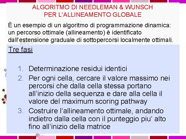 ALGORITMO DI NEEDLEMAN & WUNSCH PER L’ALLINEAMENTO GLOBALE È un esempio di un algoritmo