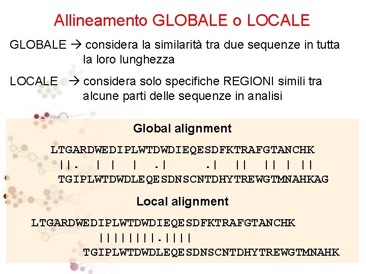 Allineamento GLOBALE o LOCALE GLOBALE considera la similarità tra due sequenze in tutta la