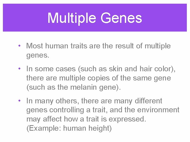 Multiple Genes • Most human traits are the result of multiple genes. • In