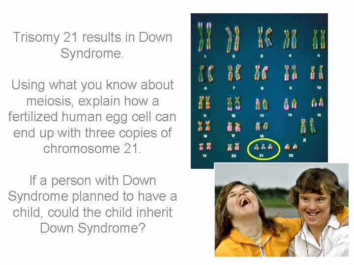 Trisomy 21 results in Down Syndrome. Using what you know about meiosis, explain how