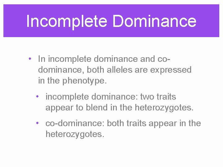 Incomplete Dominance • In incomplete dominance and codominance, both alleles are expressed in the