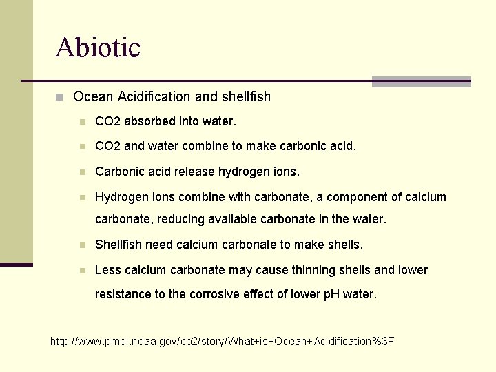 Abiotic n Ocean Acidification and shellfish n CO 2 absorbed into water. n CO