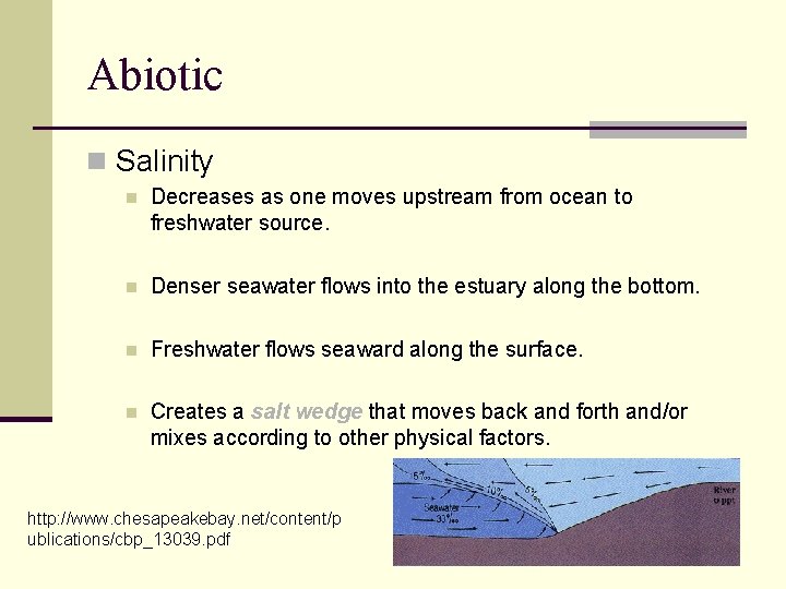 Abiotic n Salinity n Decreases as one moves upstream from ocean to freshwater source.