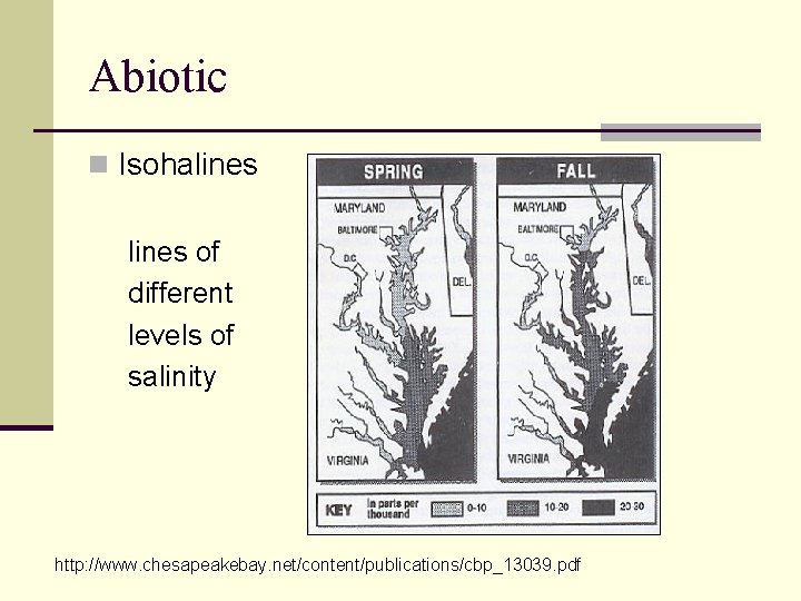 Abiotic n Isohalines of different levels of salinity http: //www. chesapeakebay. net/content/publications/cbp_13039. pdf 