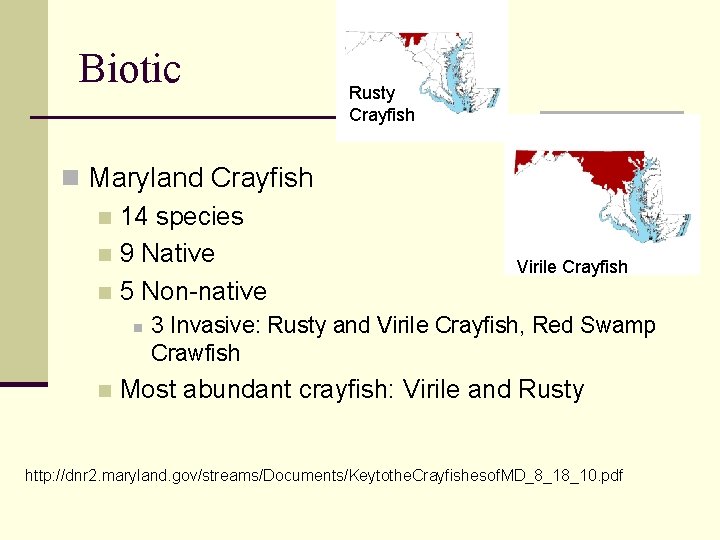 Biotic n Maryland Crayfish n 14 species n 9 Native n 5 Non-native n