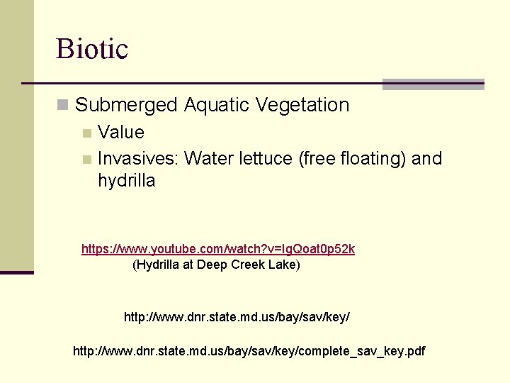 Biotic n Submerged Aquatic Vegetation n Value n Invasives: Water lettuce (free floating) and