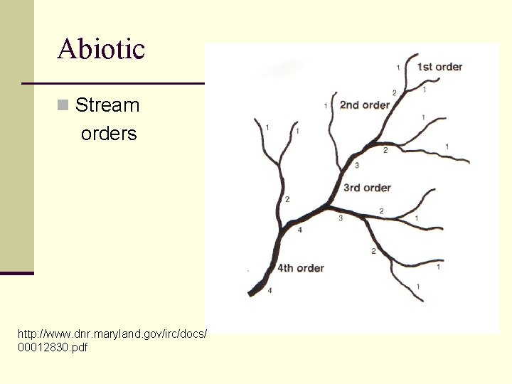 Abiotic n Stream orders http: //www. dnr. maryland. gov/irc/docs/ 00012830. pdf 