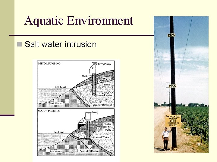 Aquatic Environment n Salt water intrusion 