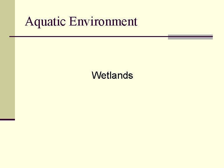 Aquatic Environment Wetlands 