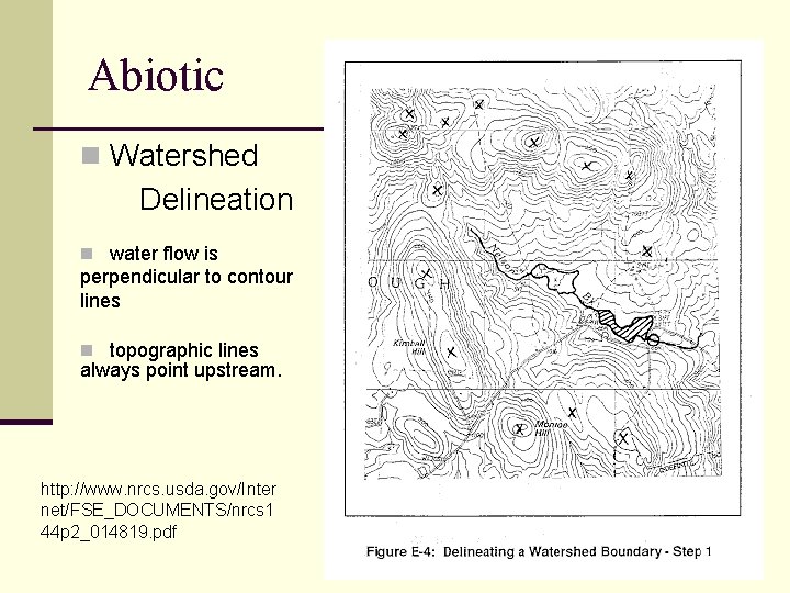 Abiotic n Watershed Delineation n water flow is perpendicular to contour lines n topographic