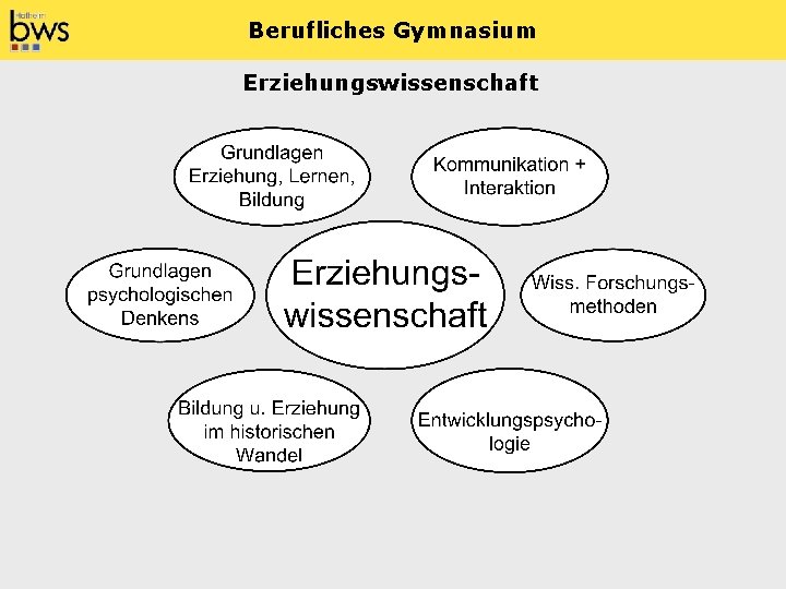 Berufliches Gymnasium Erziehungswissenschaft 