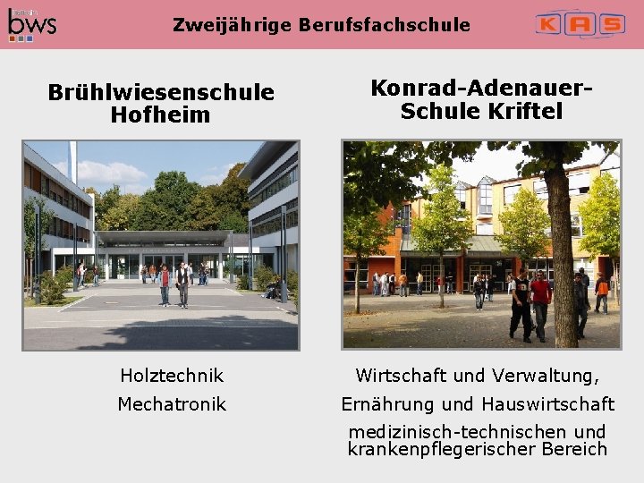 Zweijährige Berufsfachschule Brühlwiesenschule Hofheim Konrad-Adenauer. Schule Kriftel Holztechnik Wirtschaft und Verwaltung, Mechatronik Ernährung und