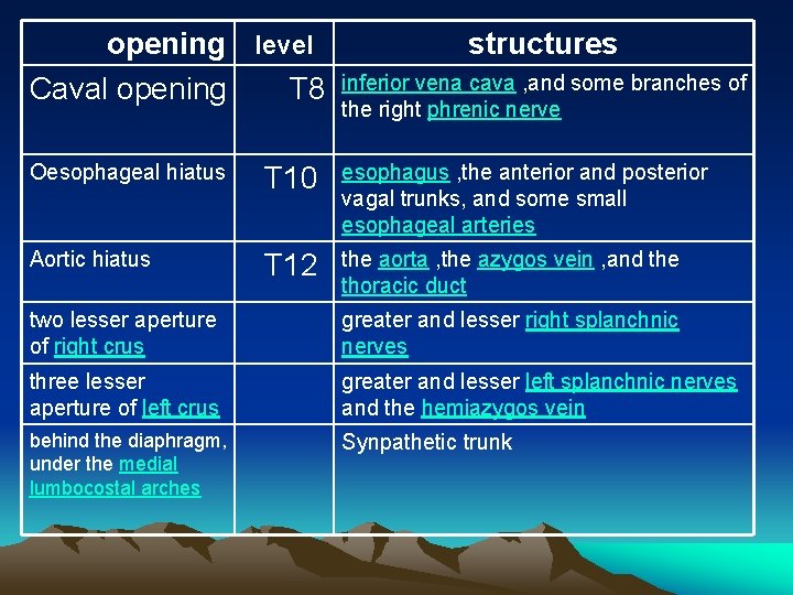 opening level Caval opening T 8 structures inferior vena cava , and some branches