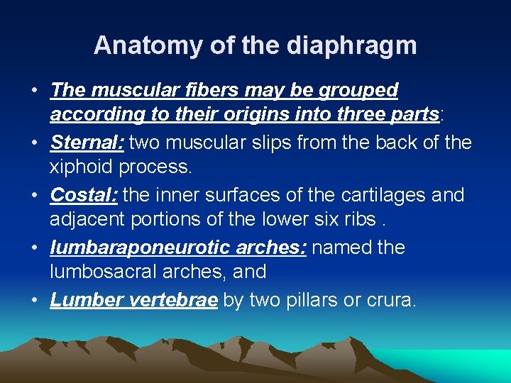 Anatomy of the diaphragm • The muscular fibers may be grouped according to their