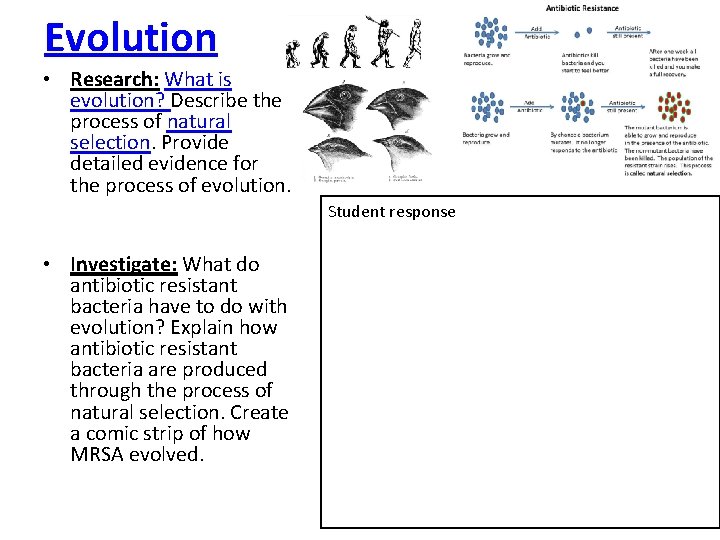 Evolution • Research: What is evolution? Describe the process of natural selection. Provide detailed Evolution • Research: What is evolution? Describe the process of natural selection. Provide detailed