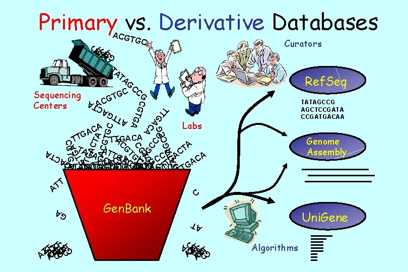 Primary vs. Derivative Databases ACGT GC C TC ATCATCT TA Curators GAG A A