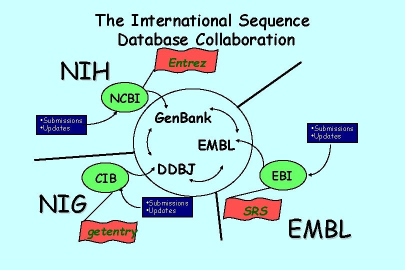 The International Sequence Database Collaboration NIH Entrez NCBI Gen. Bank • Submissions • Updates