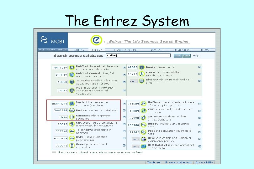 The Entrez System 
