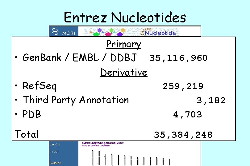 Entrez Nucleotides Primary • Gen. Bank / EMBL / DDBJ 35, 116, 960 Derivative